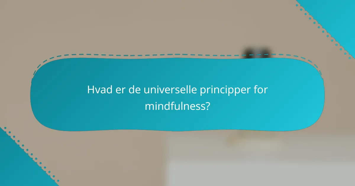 Hvad er de universelle principper for mindfulness?